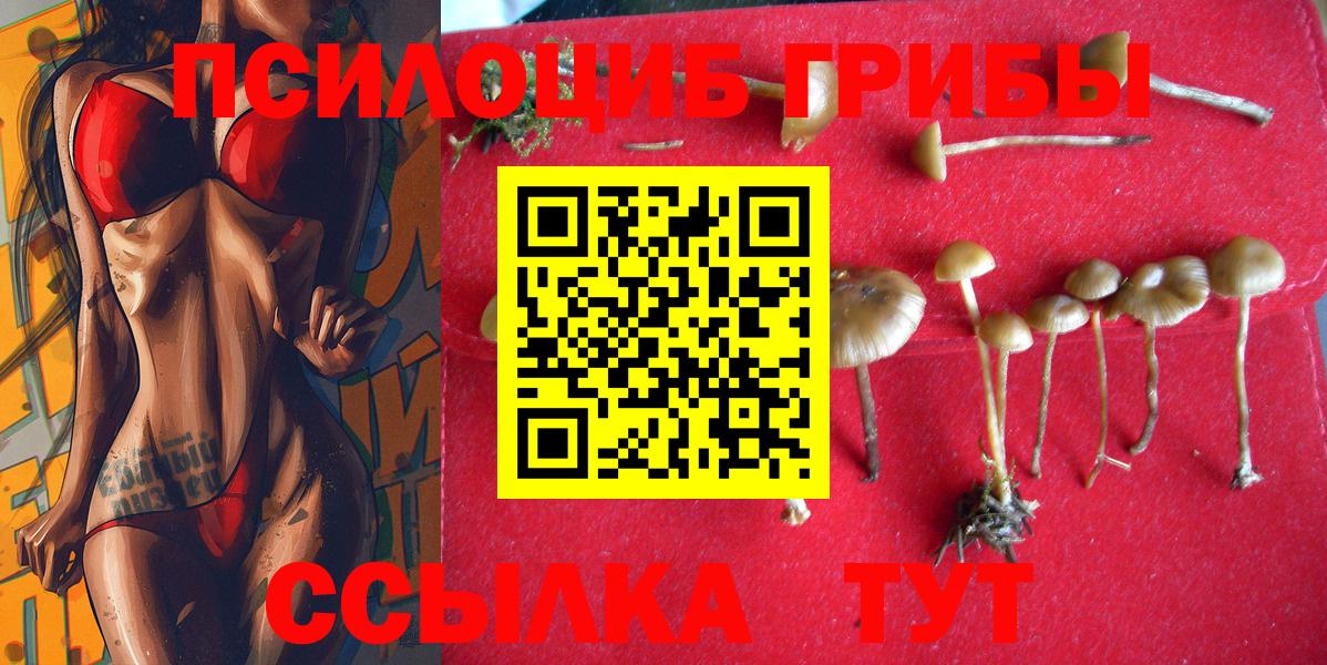 Галлюциногенные грибы ЛСД  Псилоцибиновые грибы Psilocybine cubensis  Сатка  Вход с VPN 