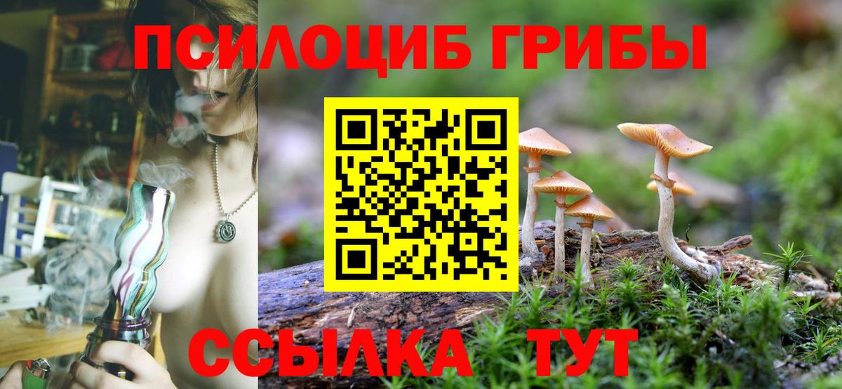 Псилоцибиновые грибы Cubensis Сатка